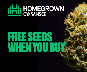 Homegrown Cannabis Co's Half Price Seeds