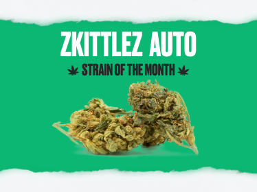 Skittles Weed Strain Cannabis Seeds