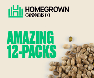 Homegrown Cannabis Co's Cannabis Seeds