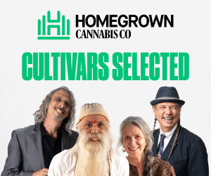 Homegrown Cannabis Co's Cultivars with Character