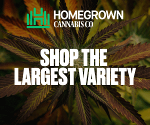 Homegrown Cannabis Co's Cannabis Seeds