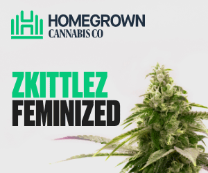 Homegrown Cannabis Co's Skittles Weed Seeds